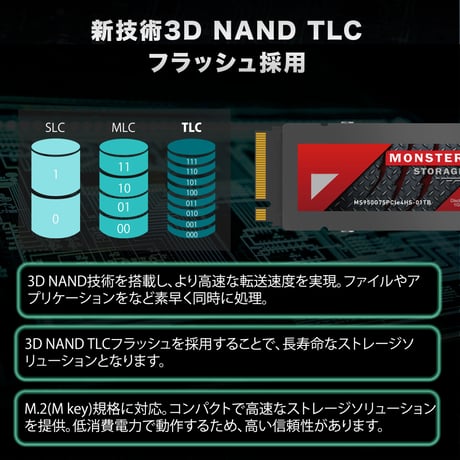 Monster Storage ヒートシンク搭載 内蔵SSD NVMe PCIe Gen 4×4 Lite PS5確認済み 国内5年保証