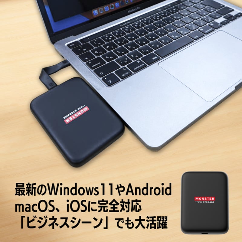 ポータブルSSD,Monster Storage,1TB Monster Storage マグネット式 ポータブルSSD 1cmスリムボディー