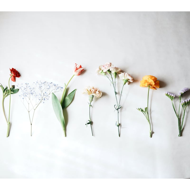 LABEL BOTTLE LARGE (D) ラベルボトル Lサイズ（Dタイプ) | PEKE