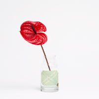 LABEL BOTTLE SMALL (B)　ラベルボトル Sサイズ（Bタイプ)