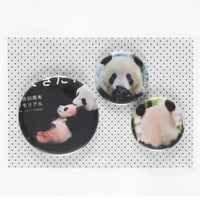装丁バッジ　3種セット