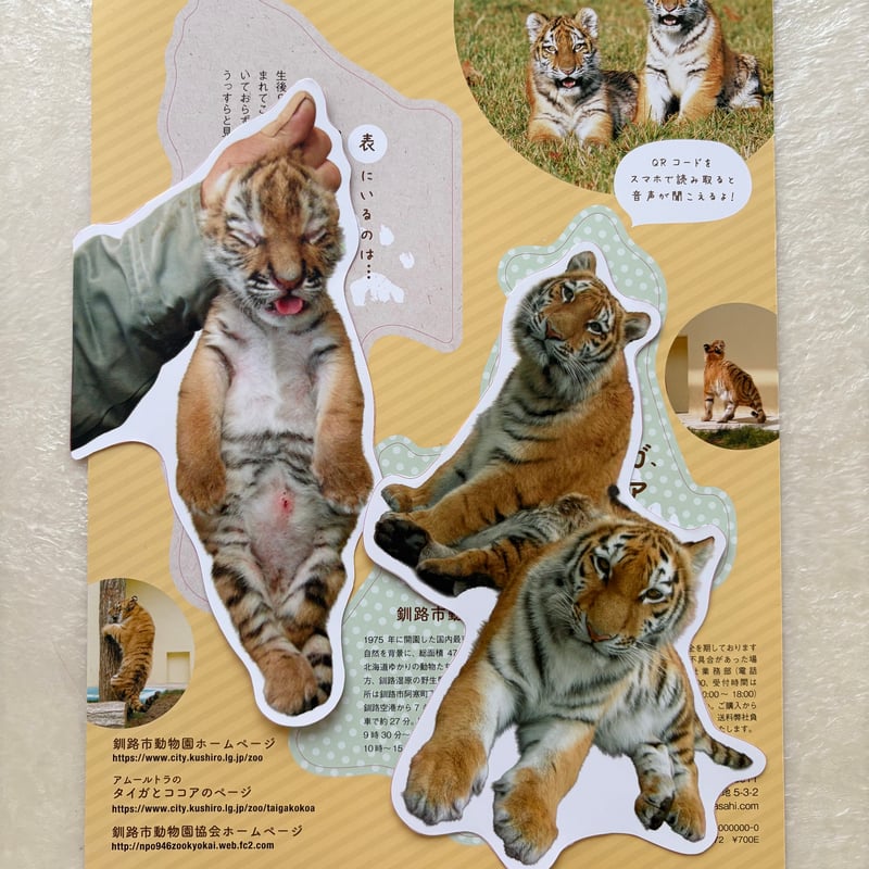 タイガとココアのどーっちだ ドデカしおり | パンダ編集班オンライン