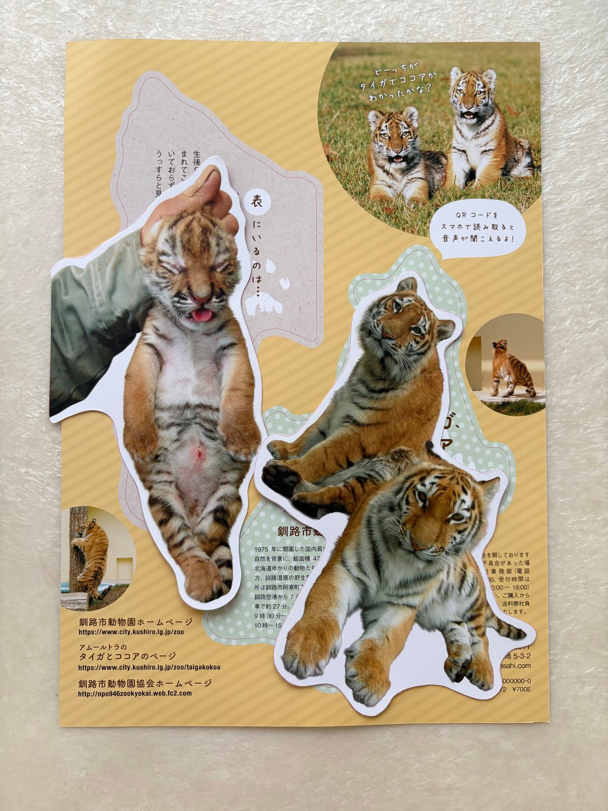 タイガとココアのどーっちだ ドデカしおり | パンダ編集班オンライン