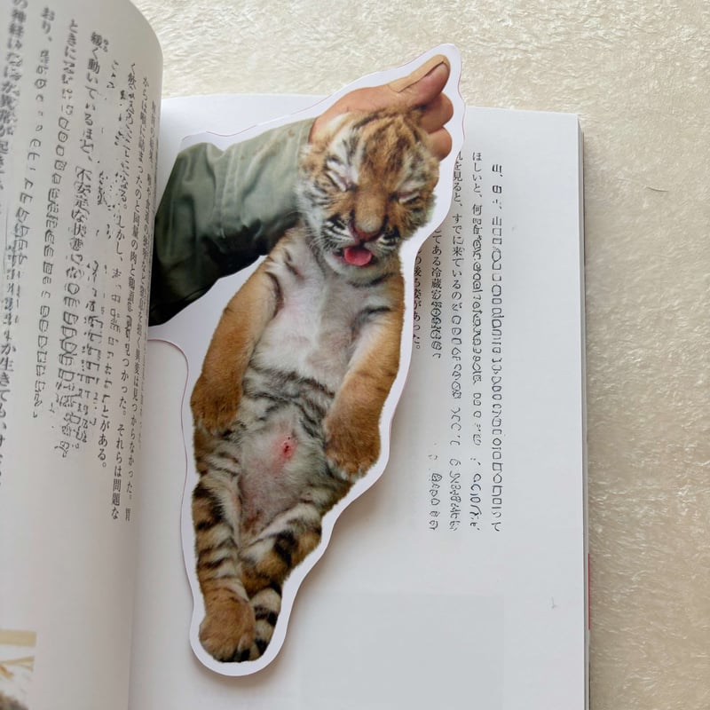 タイガとココアのどーっちだ ドデカしおり | パンダ編集班オンライン