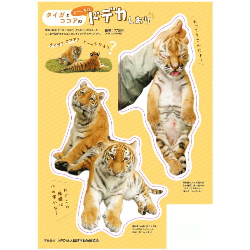 タイガとココアのどーっちだ ドデカしおり | パンダ編集班オンライン