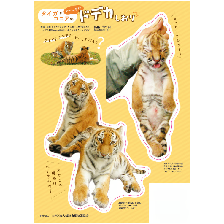 タイガとココアのどーっちだ ドデカしおり | パンダ編集班オンライン