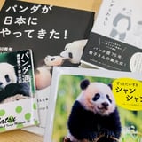 パンダ編集班オンラインショップ