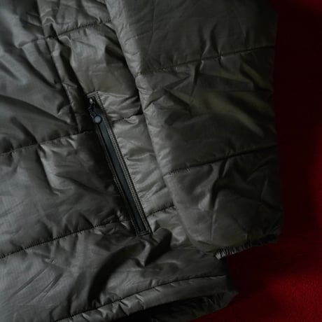 Patagonia MARS Das Parka