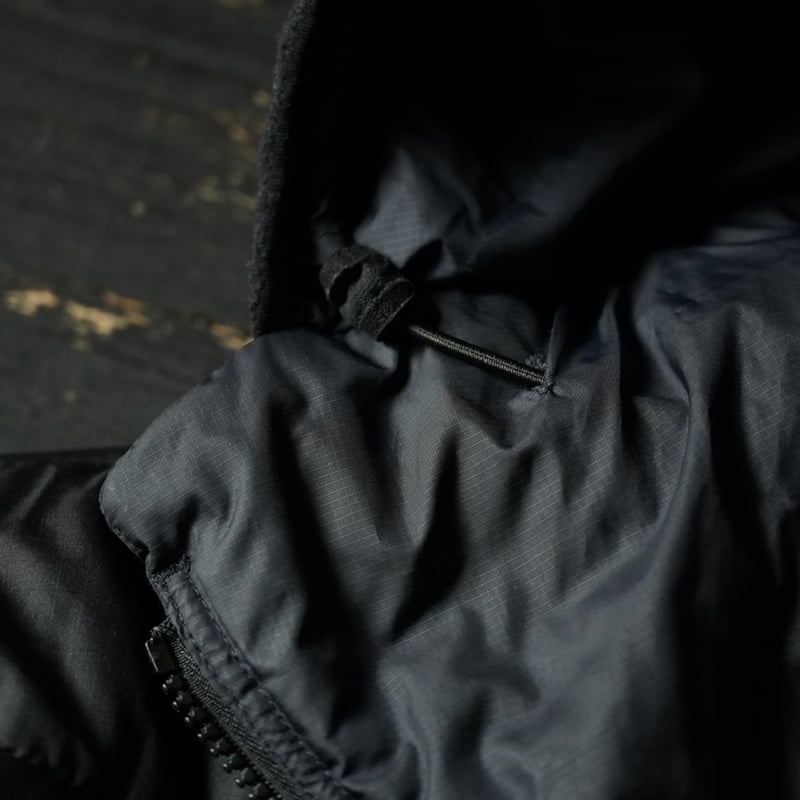 special] Patagonia Das Parka 