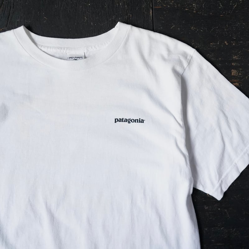 Patagonia Beneficial T (00s S made in USA) | gl
