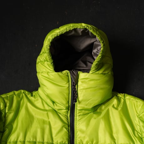 2002s Patagonia Das Parka "Gecko Green"