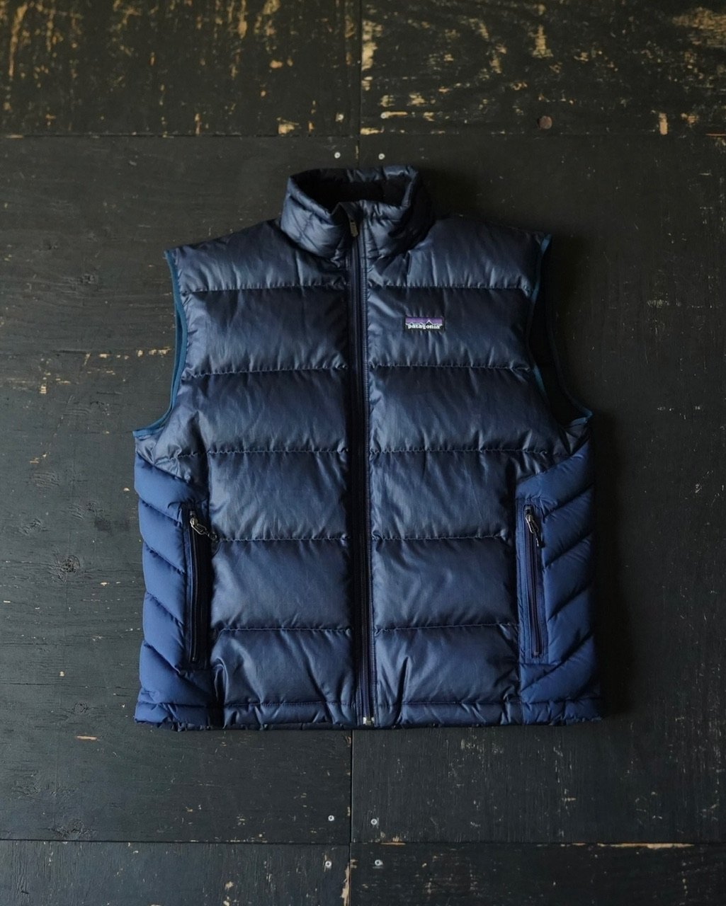 Patagonia Down Vest (00s M) | globule mag.