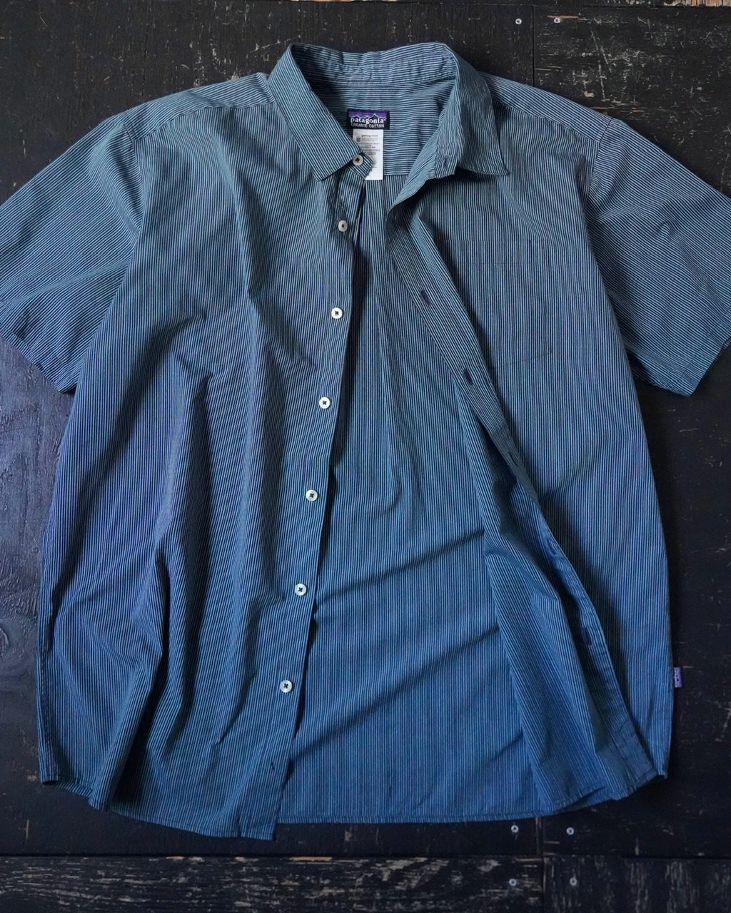 Patagonia Organic Cotton Short Sleeve Shirt (00