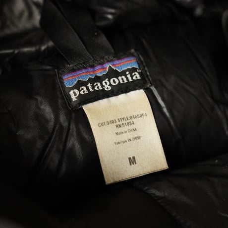 Patagonia Down Parka (00s M)