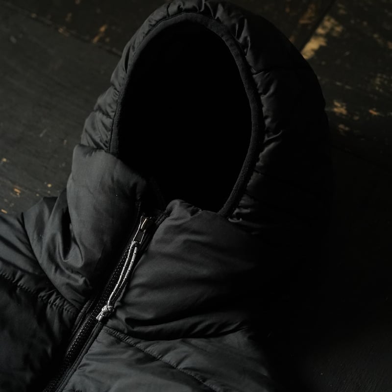special] Patagonia Das Parka 