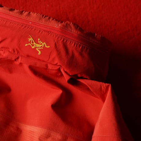 [special] ARC'TERYX Theta LT Jacket