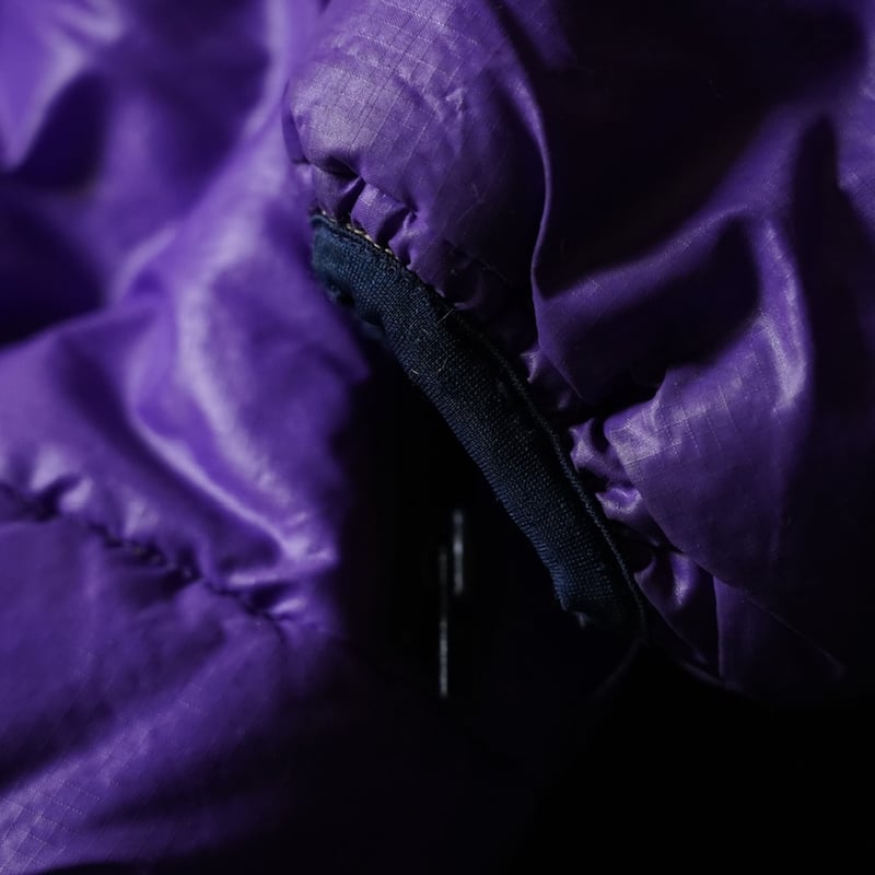 Special】Patagonia Down Jacket (80s L ) | globu