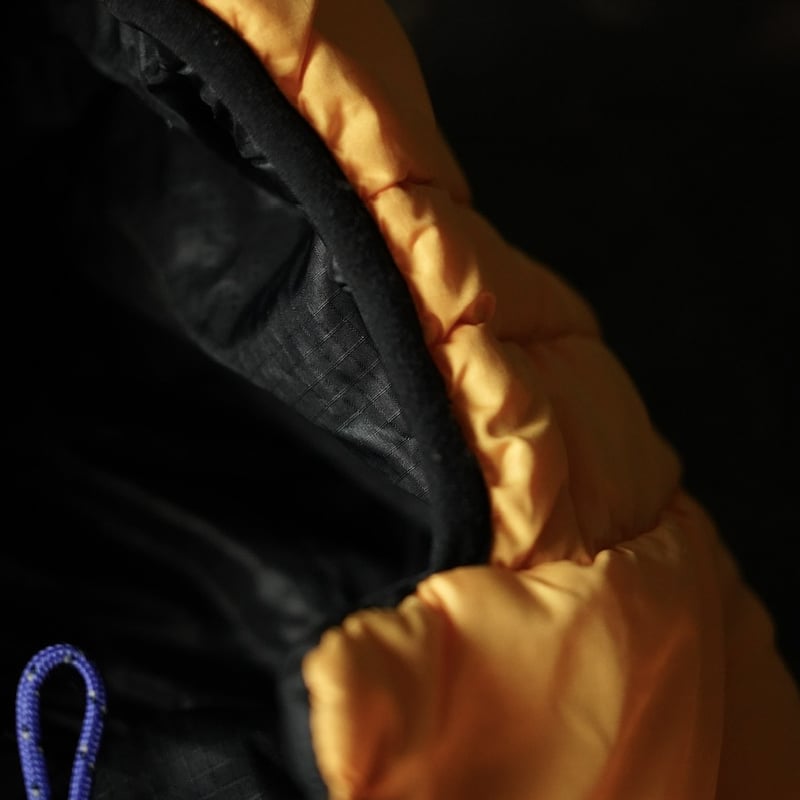 special] Patagonia Das Parka 