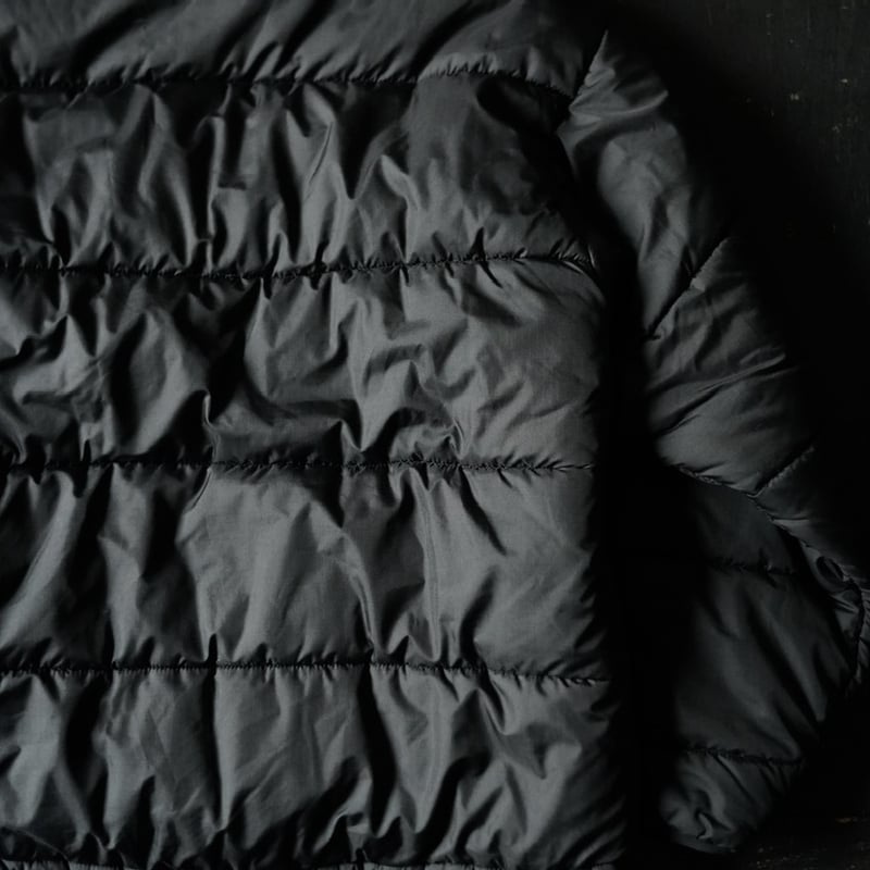 special] Patagonia Das Parka 
