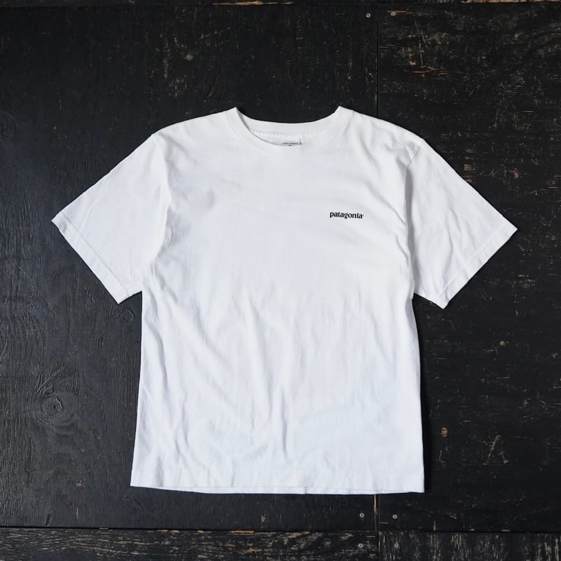 Patagonia Beneficial T (00s S made in USA) | gl