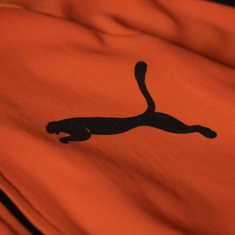 Puma Track Jacket （70s M made in Germany 目付き） |