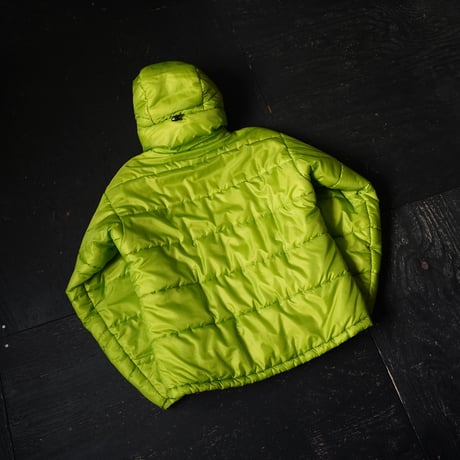 2002s Patagonia Das Parka "Gecko Green"