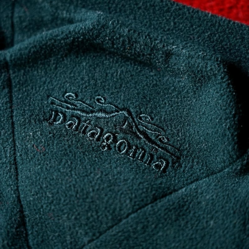 Patagonia Micro D Luxe Crew Neck | globule mag. Patagonia Micro D Luxe Crew Neck | globule mag.
