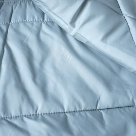 Patagonia Guide Parka (00s S)