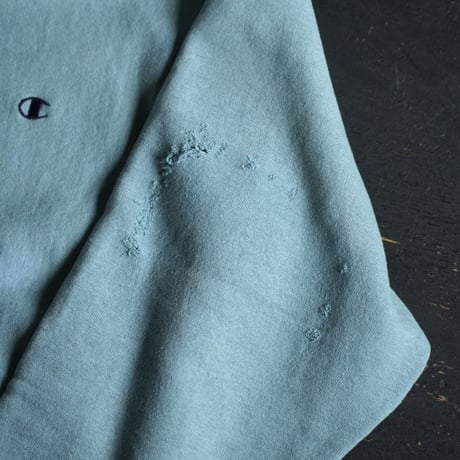 Champion Reverse Weave Sweat
