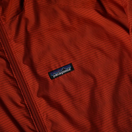 Patagonia Micro Puff Hoody