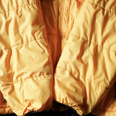 [special] Patagonia Das Parka "Butter Nuts" (90s L Good Condition!)