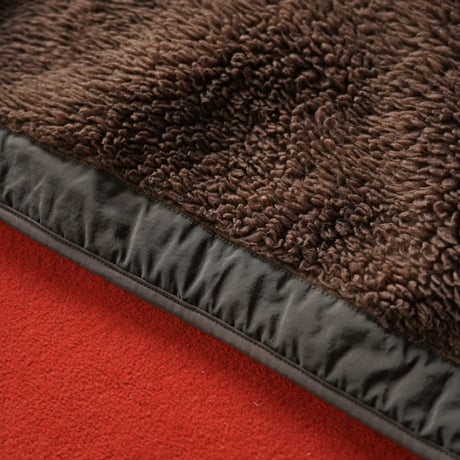 [special] Patagonia Rhythm Hoody "Velvet Brown"