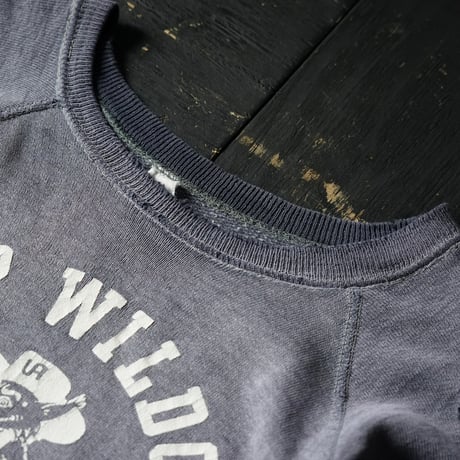 Vintage Raglan Sweat (L)