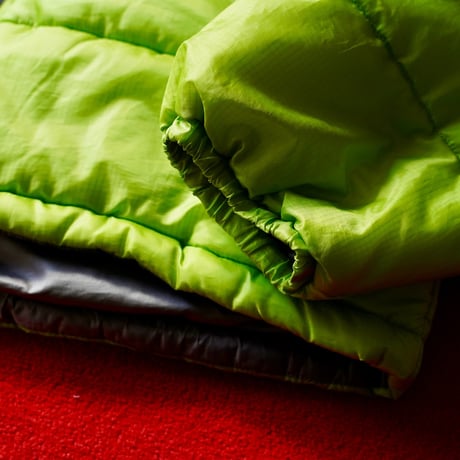 Patagonia DAS Parka "Gecko Green"