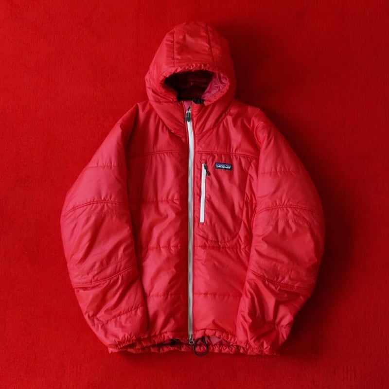 Patagonia Das Parka - Primaloft 袋付き | globule mag.