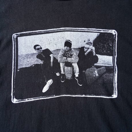 90s Beastie Boys Check Your Head T-Shirt（Hanes）