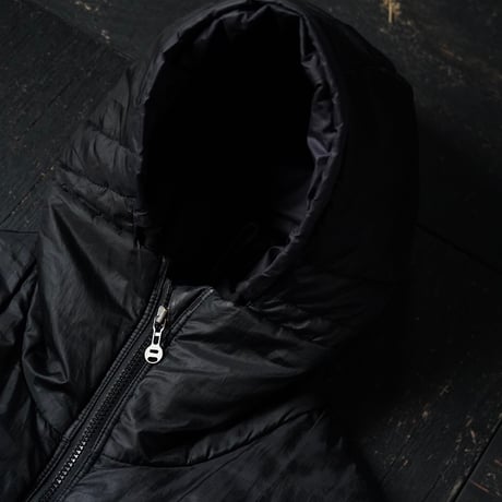 Patagonia Das Parka (00s L )