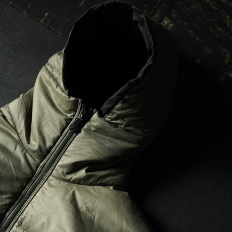 [special] Patagonia  MARS Das Parka (00s XL Good Condition!)