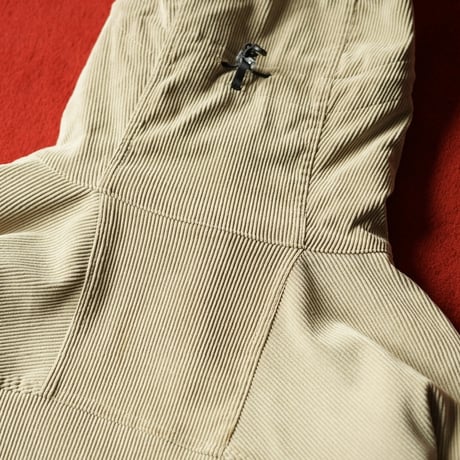 [special] Patagonia Cordillera Parka