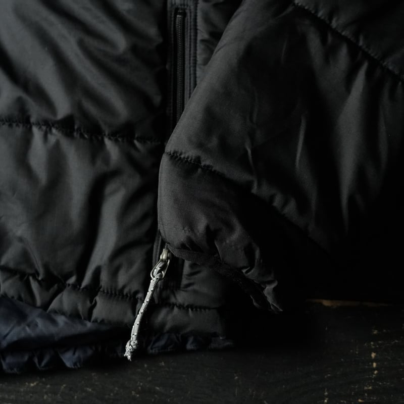 special] Patagonia Das Parka 