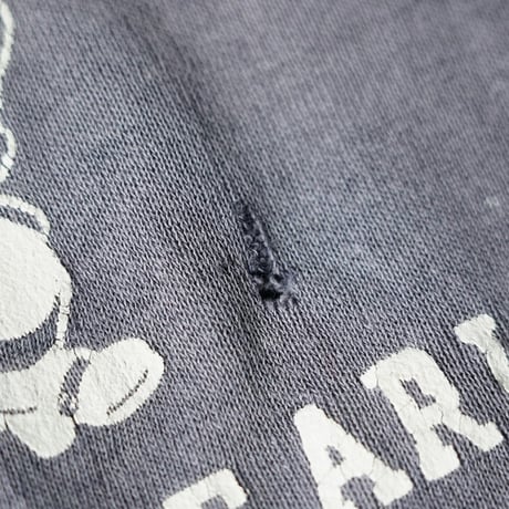Vintage Raglan Sweat (L)