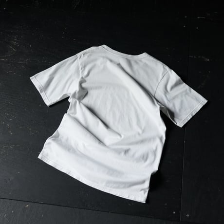 Stussy Printed T-Shirt - 北斎 (00s S 北斎プリント)