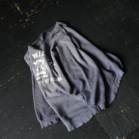 Vintage Raglan Sweat (L)