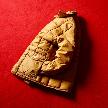 Eddie Bauer Goose Down Jacket