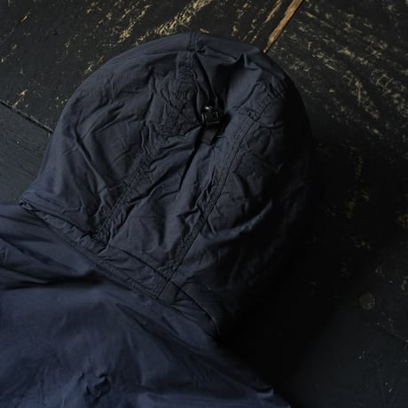 Patagonia Guide Parka (00s S)