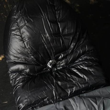 Patagonia Down Parka (00s M)