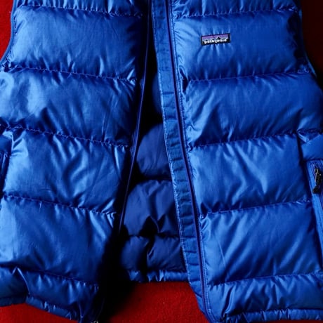 Patagonia Down Vest
