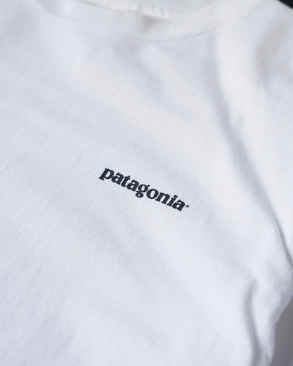 Patagonia Beneficial T (00s S made in USA) | gl