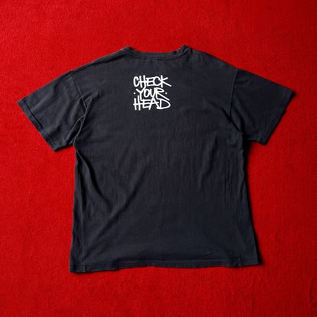 90s Beastie Boys Check Your Head T-Shirt（Hanes）
