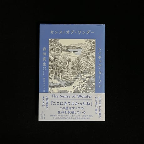 森田真生 | STORES